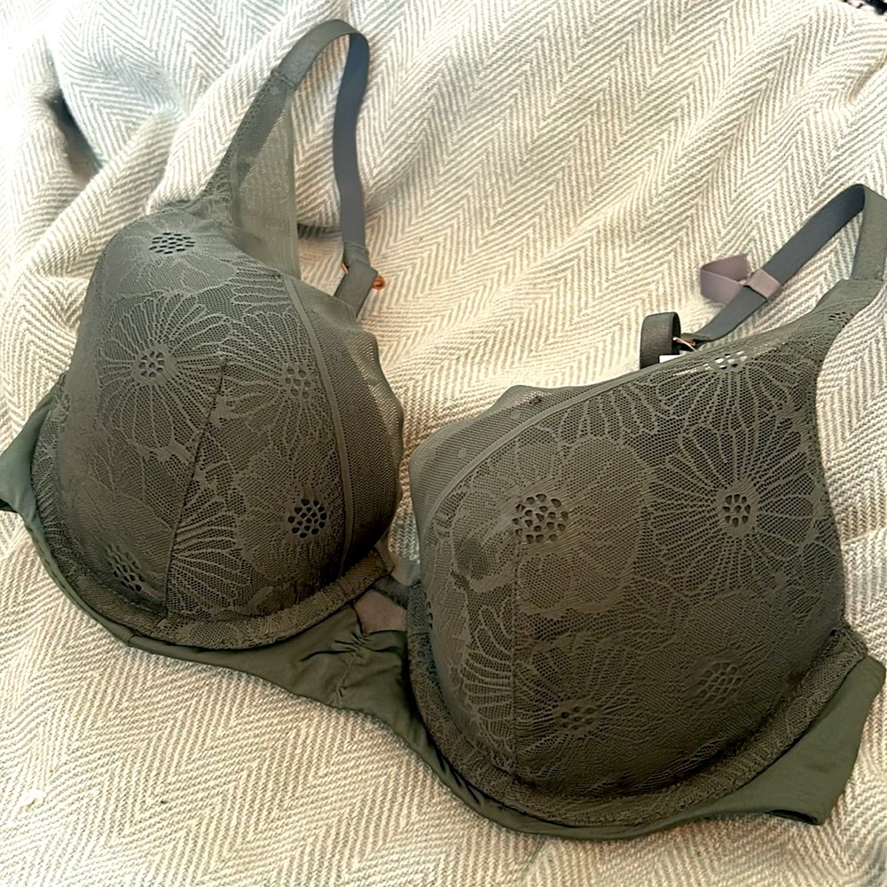 🕊️ [aerie] plunge push-up bra